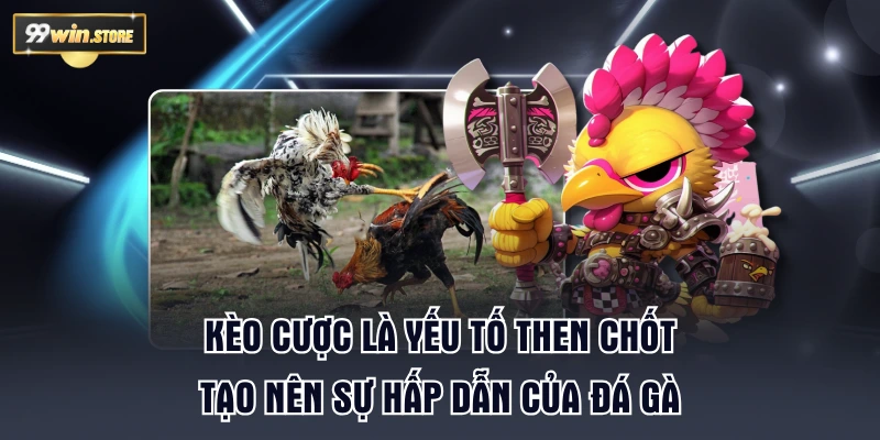 Kèo cược là yếu tố then chốt tạo nên sự hấp dẫn của đá gà