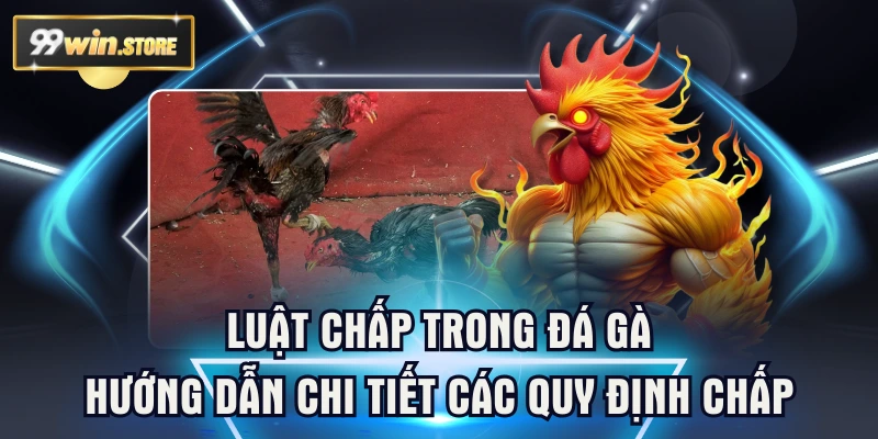Luật Chấp Trong Đá Gà: Hướng Dẫn Chi Tiết Các Quy Định Chấp