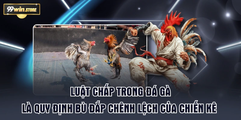 Luật chấp trong đá gà là quy định bù đắp chênh lệch của chiến kê 