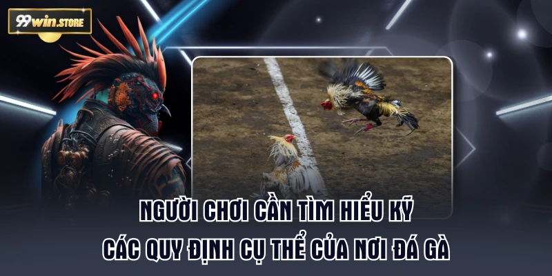 Người chơi cần tìm hiểu kỹ các quy định cụ thể của nơi đá gà