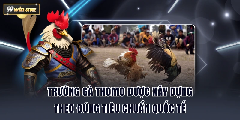 Trường gà Thomo được xây dựng theo đúng tiêu chuẩn quốc tế